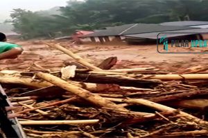 Kayu Gelondongan Terbawa Banjir di Sumut, Ini Kata Bobby