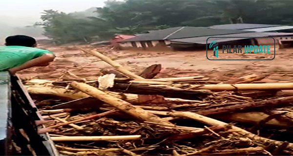 Kayu Gelondongan Terbawa Banjir di Sumut, Ini Kata Bobby