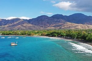 Mengenal Desa Wisata Pemuteran Bali yang Meraih Gelar Best Tourism Village 2025