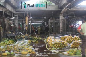 350 Kios Pasar Induk Kramat Jati Jakarta Terbakar