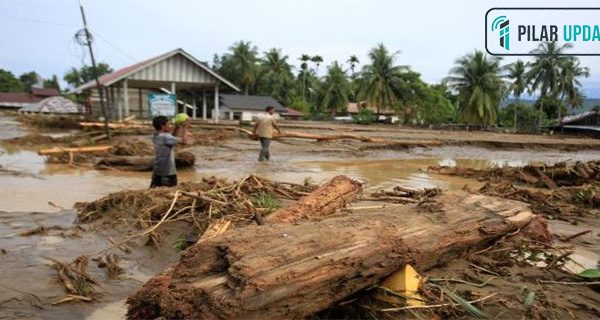 Pemerintah Usut Gelondongan Terbawa Banjir di Sumatera