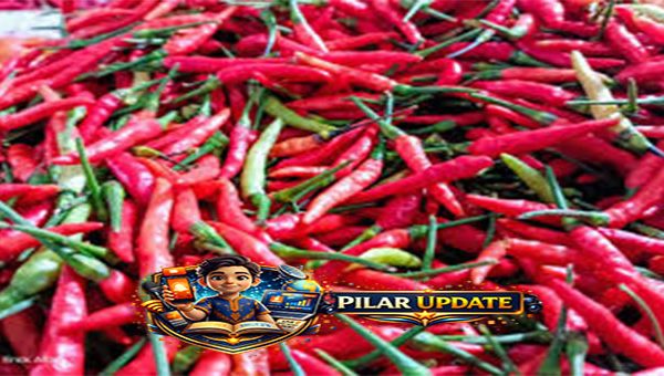 Hentikan Kebiasaan Makan Cabai Seperti Ini, Ini yang Perlu Kamu Tahu