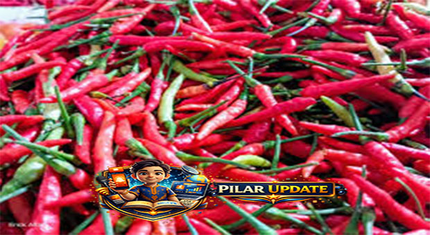 Hentikan Kebiasaan Makan Cabai Seperti Ini, Ini yang Perlu Kamu Tahu