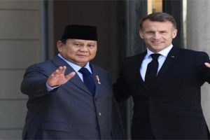 Prabowo Bertemu Macron, RI Bidik Prancis Jadi Tujuan Ekspor Sawit